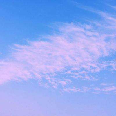 汇彩网登录大厅