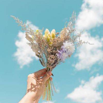 完美电竞app下载